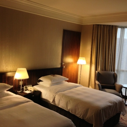 Business hotels