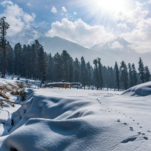 Kashmir