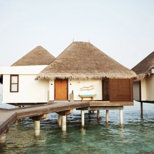 Luxury rooms